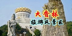 wwwww性爱靠逼视频中国浙江-绍兴大香林旅游风景区